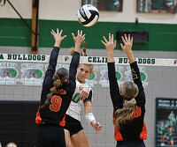 thum pict