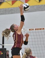 thum pict