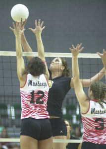 Parkway's Rebekah Roehm, in black, tips the ball over a Williamsport Westfall player during their Division III state semifinal contest on Friday. Roehm had 33 kills in the Parkway win.<br></br>dailystandard.com